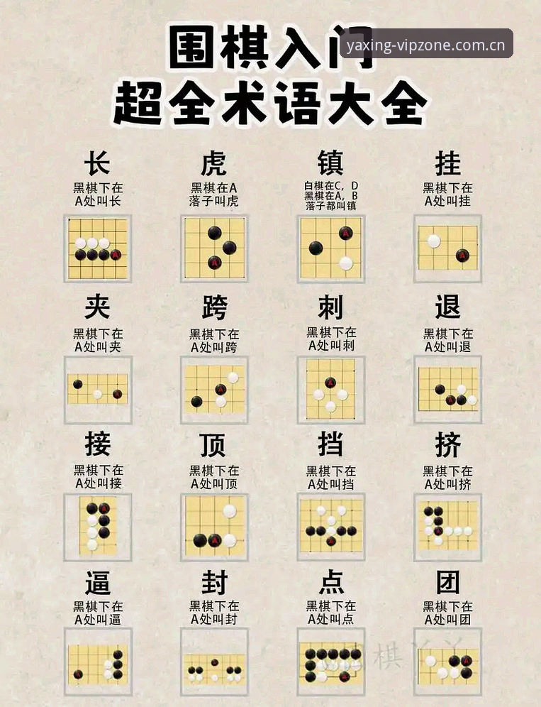 亚星游戏平台官网 亚星游戏平台官网实用指南:从入门到精通的必备知识